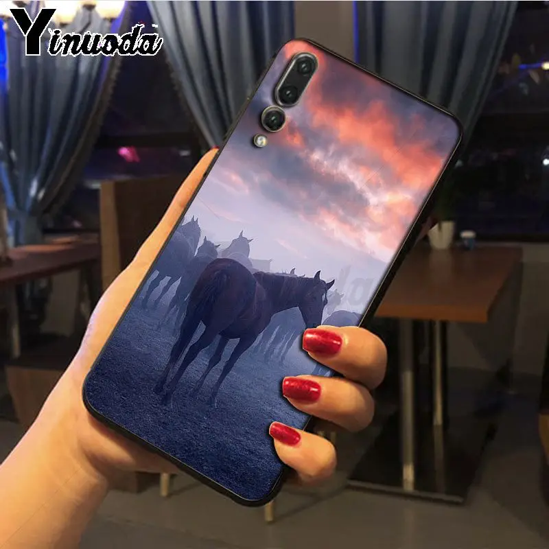 Hot running Horses animal