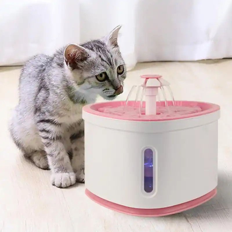 electric pet fountain