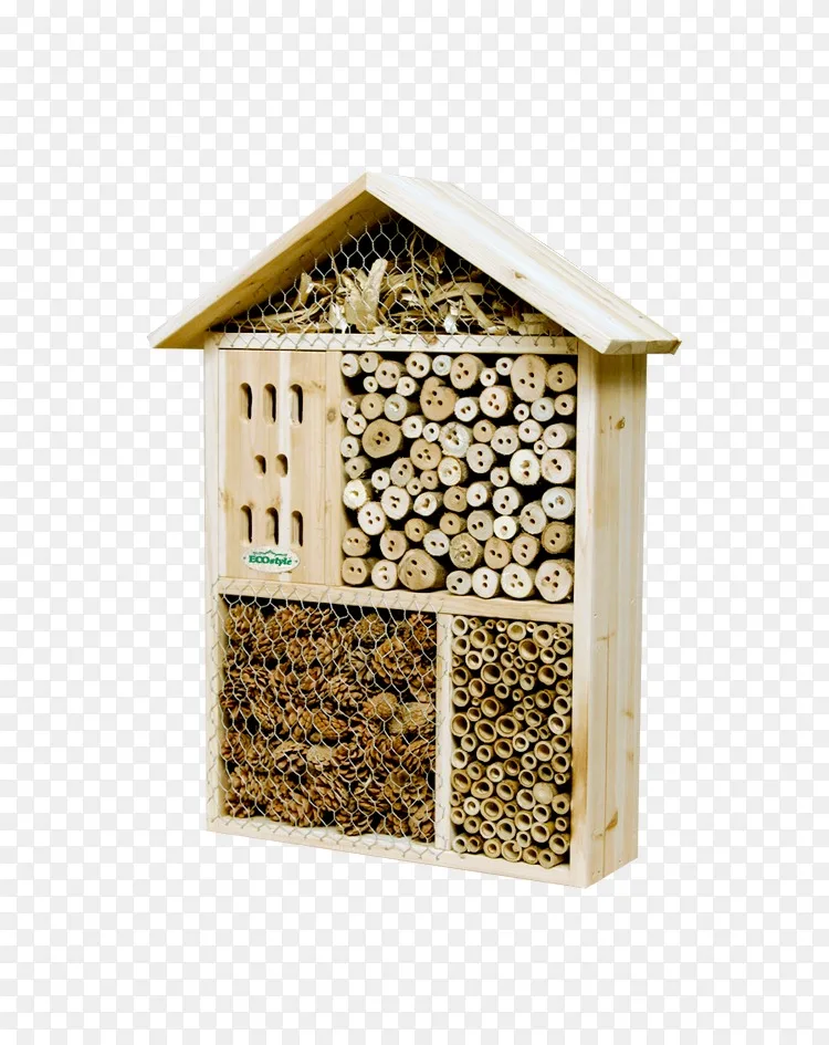 昆虫旅馆西部蜜蜂花园 昆虫png图片素材免费下载 图片编号 Png素材网