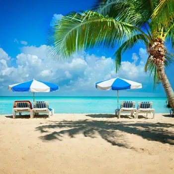 

Tropical Seaside Beach chair Beach Palms Tree Blue Sky Scenic Photo Backdrops Photography Backgrounds Photo Studio