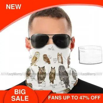 

Hawk Mouth Face Mask Owls Facial Mask for Adult Fashion with Filters Pretty Mask