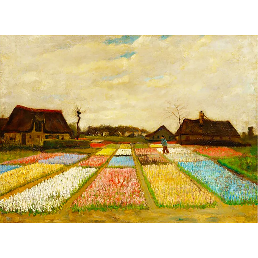 

Paints By Numbers 50x40cm Abstract Flower Field Oil Painting By Numbers Set Gift Coloring By Numbers Canvas Wall Set
