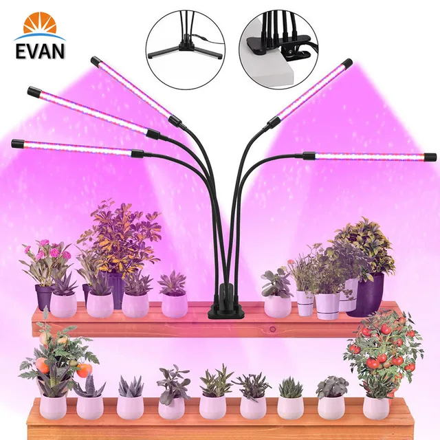 Led Grow Light Világos Spektrum Phyto Lámpa Usb Port Timer Clip Növények Palántákhoz Virág Beltéri Fitolamp Termelő Doboz - Image 5