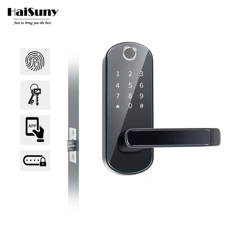 Biometric Fingerprint Lock Security Intelligent Indoor Door Lock