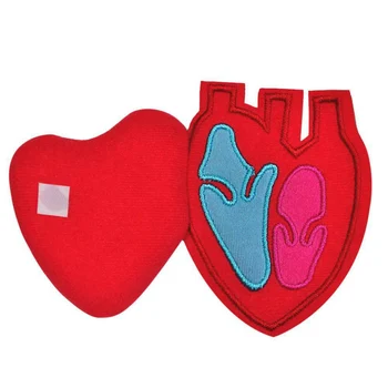 

Dropshipping Child Education Organ Apron Anatomy Apron for Human Body Organ Awareness Educational P666