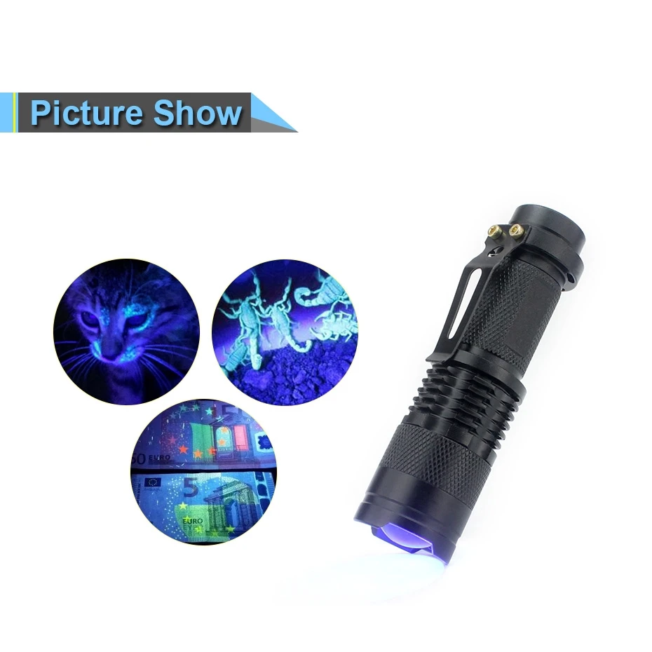 PROFORUS Linternas UV recargables, linterna ultravioleta de 365 nm y 395  nm, doble fuente de luz UV, linterna de luz negra, antorcha 2 en 1 con zoom