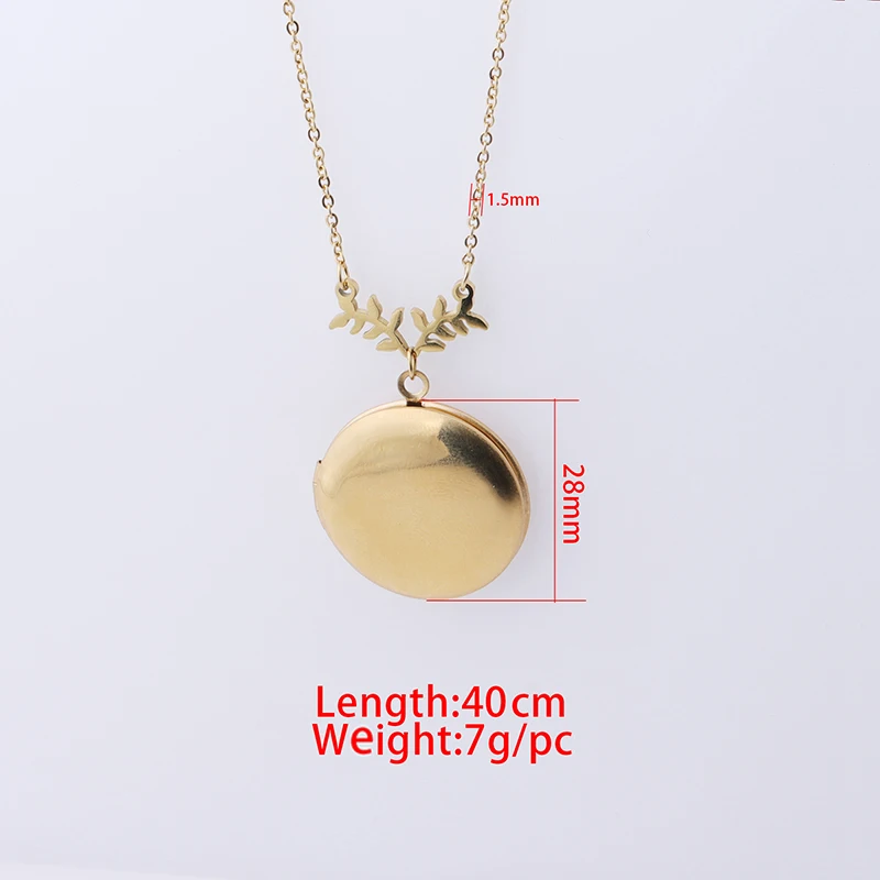 Fnixtar 40/45cm Gold Photo Locket Pendant Necklace Mirror Polish Stainless Steel Sweater Necklace For Women's Men's Gifts - - AliExpress