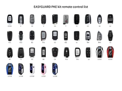 Remote Control Transmitter Replacement For ec002 and ec002PP Series only Key Fob