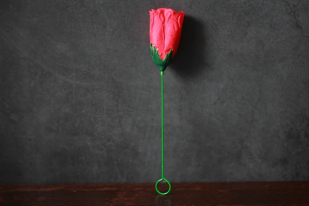 自动火把玫瑰 (1)