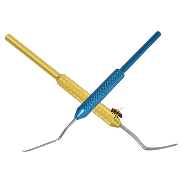 1 Százalék Méhészet Rozsdamentes Acél Lárvák Mozgó Oltó Tű Méhkirálynő Lárva Áthelyező Mozgás Férgek Méhész Professzionális Szerszám