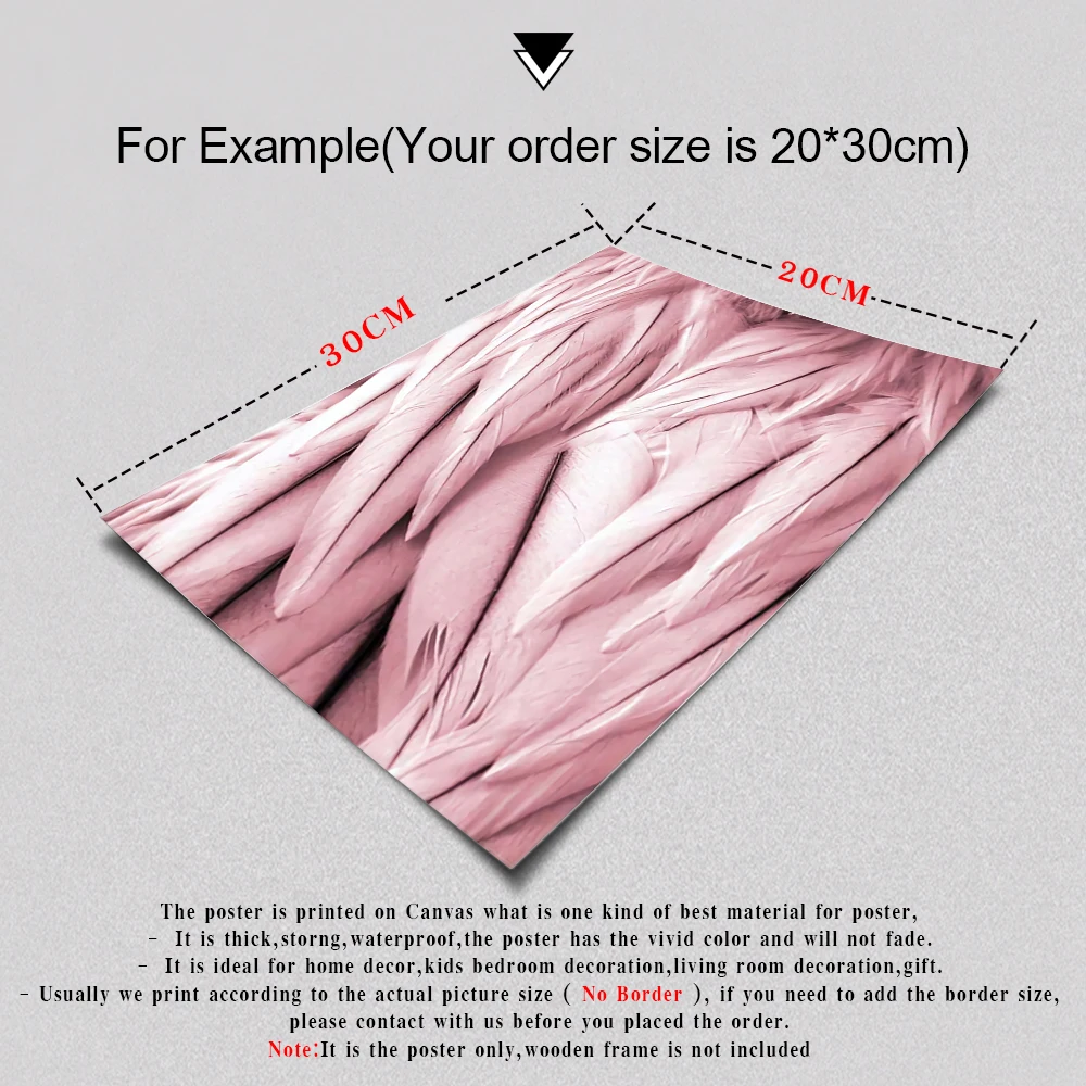 Марокканская дверь искусство холст картина розовые перья плакаты и принты