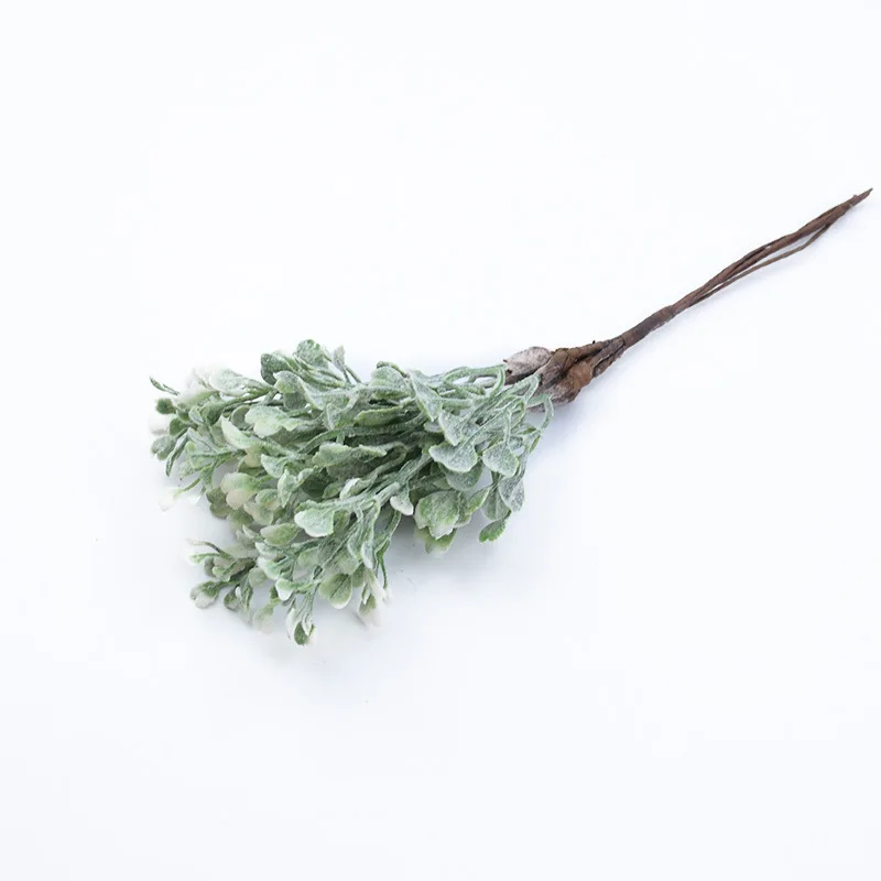 12159759473_1055429234