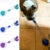Игрушки Для Собак Pet Puppy Interactive Suction Cup Push TPR Ball Toys Molar Bite Toy Эластичные Веревки Чистка Зубов Собаки Жевательные принадлежности