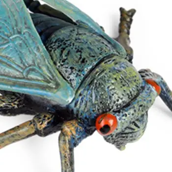 

3pcs/set Simulation Solid Static Animal Model Ornament Realistic Insect Cicada 425F