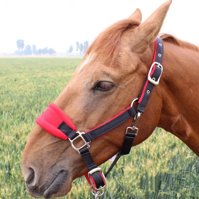 New Horse Halter Headcollar Equestrian Equipment Adjustable Thicken Horse Riding Bridle Head Collar Horseback Strap Accessories