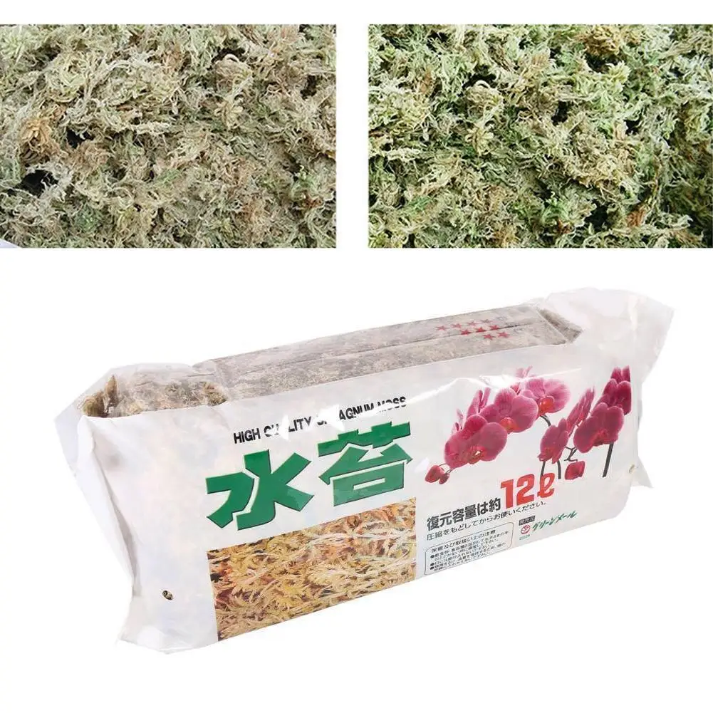 12l Sphagnum Moss Moss Sphagnum Nutrition Organic Fertilizer For Orchid Phalaenopsis Musgo