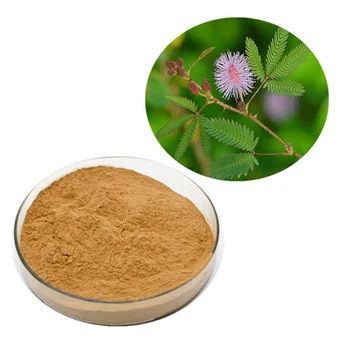 

100g High Purity 100% Natural 20:1 Mimosa Hostilis Root Bark Powder For Anti-inflammation ,Organic ECOCERT Certification