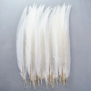 

Wholesale Natural Silver Pheasant Tail Feathers 10-80CM White Pheasant Feathers for Crafts Costume Silver Chicken Feathers Plume