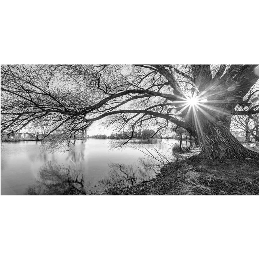 

PDMDOG Needlework 5D DIY Diamond Painting Black and white lakeside tree scenery Diamond Embroidery Full Square mosaic Rhinestone