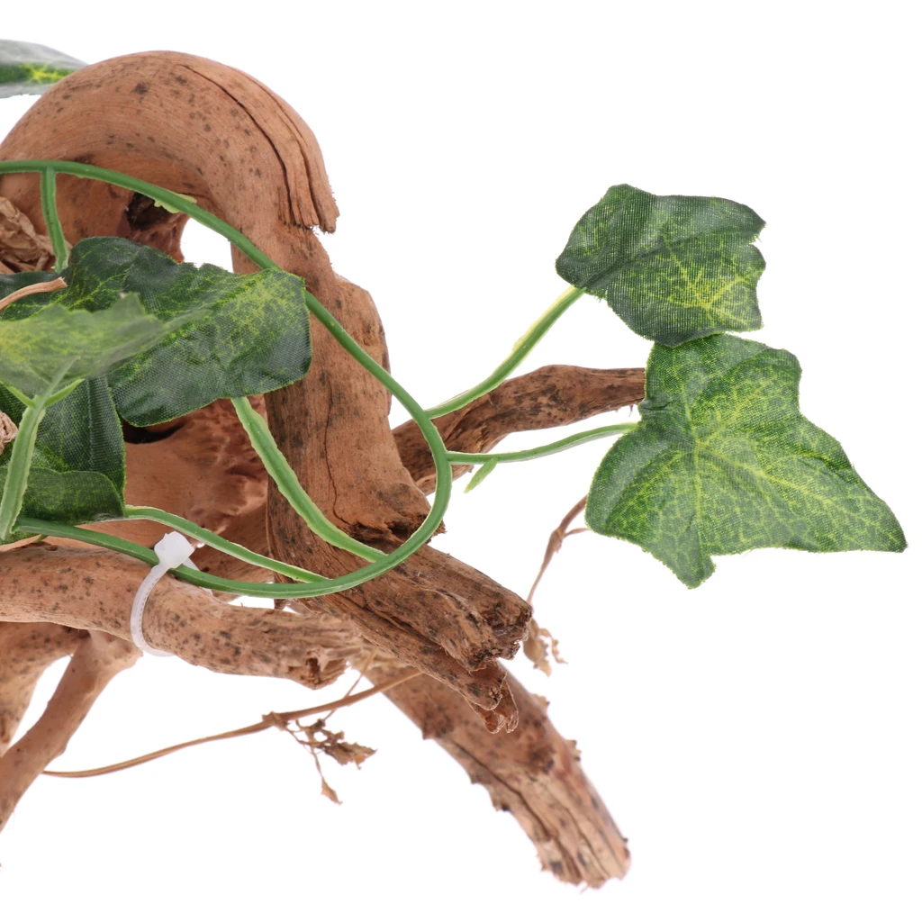 Rhododendron Wood Root with Small Jungle Vines DIY Decor for Reptiles and Amphibians Habitat Décor