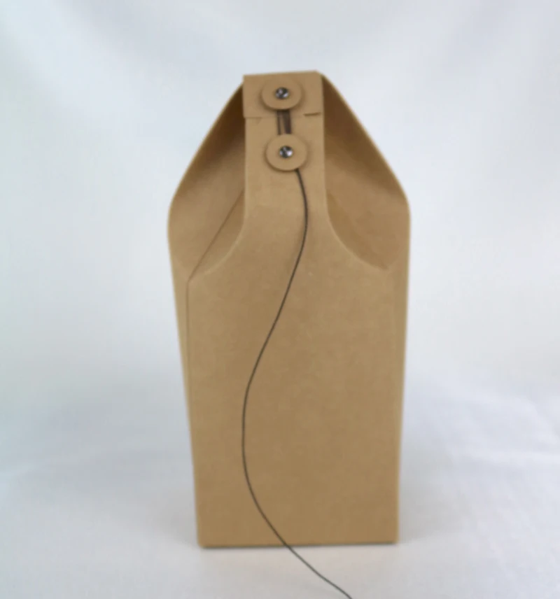 100pcs Kraft Paper Bag with Line Button,Khaki tea candy rice Bag Gift Box Package Birthday Party Decoration Bags with rope