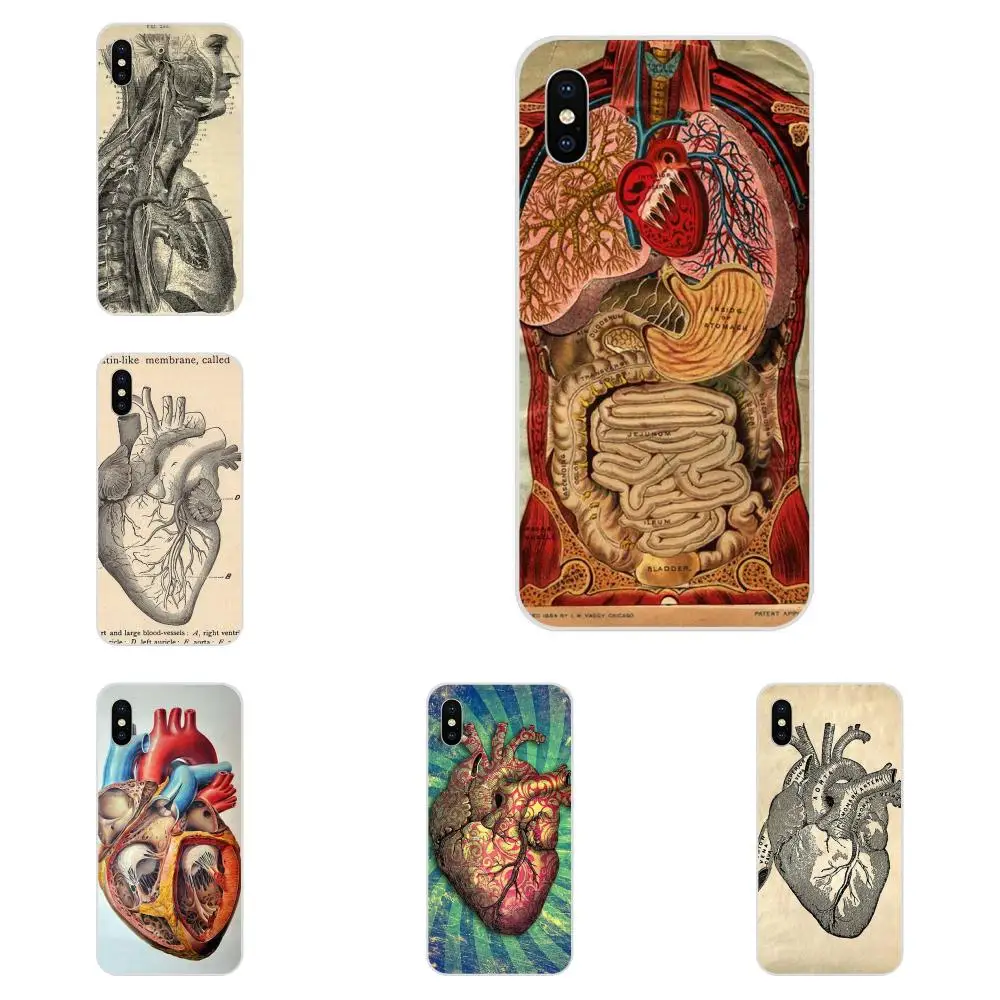 

Vintage Medical Anatomical Heart Diagram For Huawei P7 P8 P9 P10 P20 P30 Lite Mini Plus Pro Y9 Prime P Smart Z 2018 2019