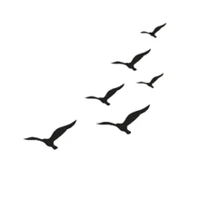 

60*53.3cm Fashionable and personalized birds are flying Vinyl Sticker Lovely Humour car stickers and decals funny