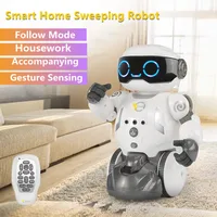Gesture Sensing Intelligent Programming Sweeping Robot Vacuum Obstacle Avoidance Follow Mode Sing&Dance Volume Adjustable RC Toy 1