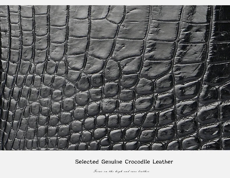 3809945452_1903357852