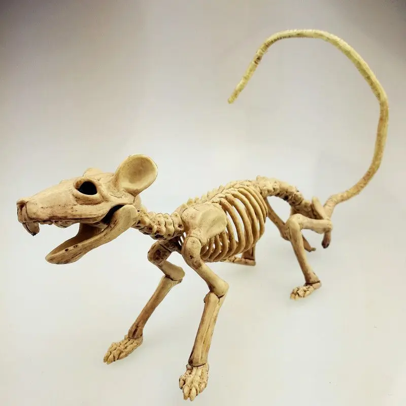 Модель скелета животных Летучая мышь/паук/Скорпион/ящерица кости декор для Хэллоуина, вечеринки