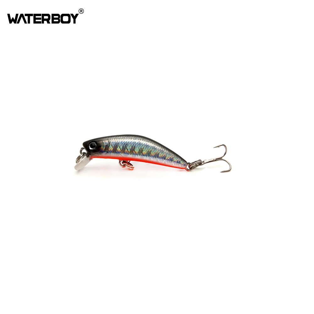 

WATERBOY Minnow Fishing Lures Plastic Artificial Iscas Ocean Swimming Fishing Bait 4.2cm 1.7in 2.6g 0.1oz Hard Animated Lure