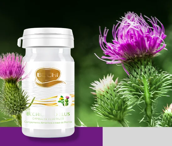 

Top selling Silymarin 60 capsules of natural milk thistle extract , Supports Liver, Kidneys