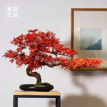 Bonsai Maple Home And Garden Aliexpress