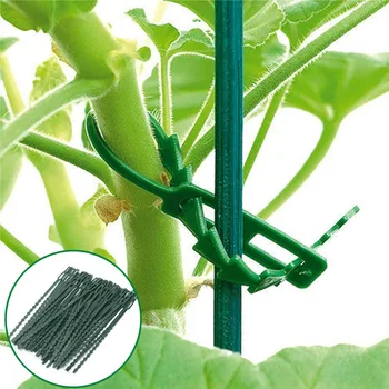 

30 pcs Reusable Garden Flower Plant Tie Tree Climbing Support Plants Cable Ties Clips Garden Plant Tools