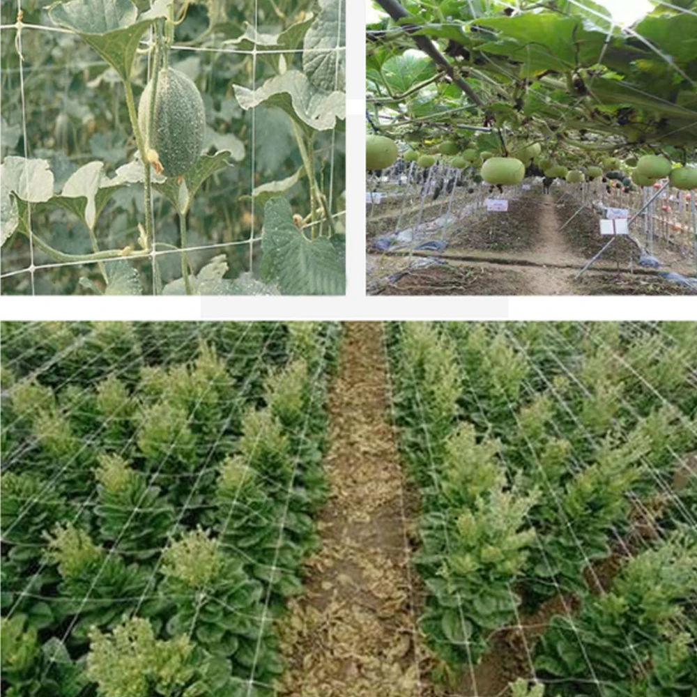 5/10/20m Polyester Mesh Net Loofah Netting For Plants Vine Flowers Garden Climbing Cucumber Growing Holder | Дом и сад