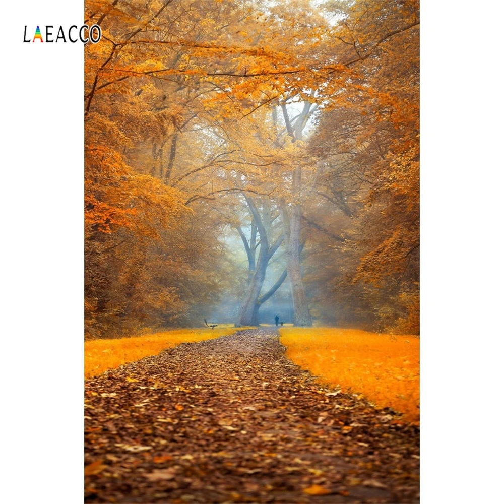 

Laeacco Autumn Hazy Yellow Leaves Trees Way Scenic Photography Backgrounds Vinyl Custom Photographic Backdrops For Photo Studio
