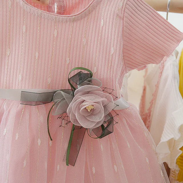 Buy OnlineBaby Girls Dress 2021 Summer Cute Cartoon Baby Princess Birthday Party Mesh Dresses Costume Toddler Infant Kids Clothing.