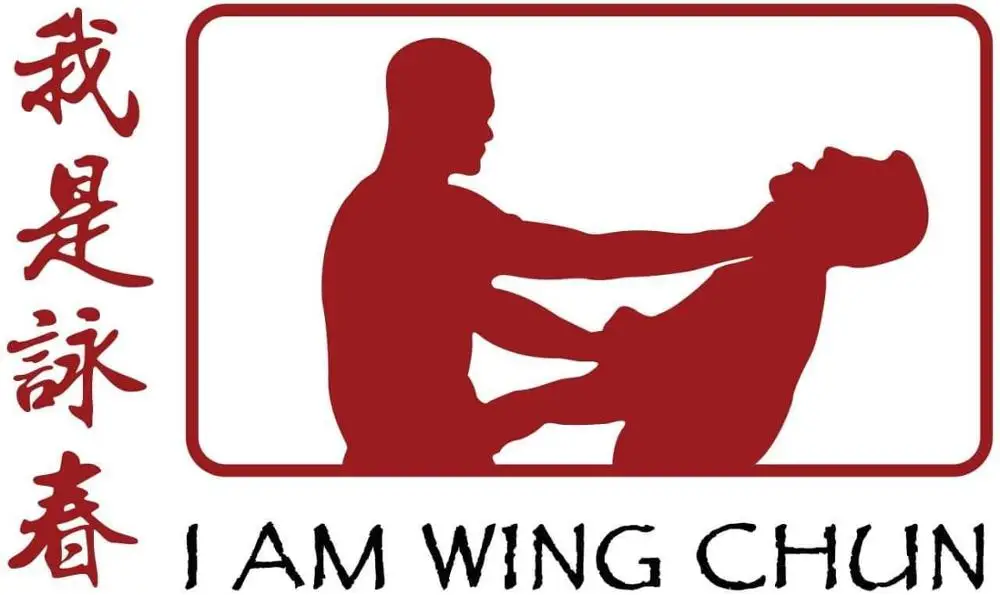 I am wing chun любой спортивный логотип или бренда музыкальный флаг на заказ 3x5 футов