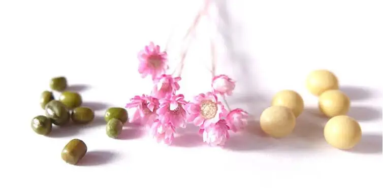 QQ截图20191107145505