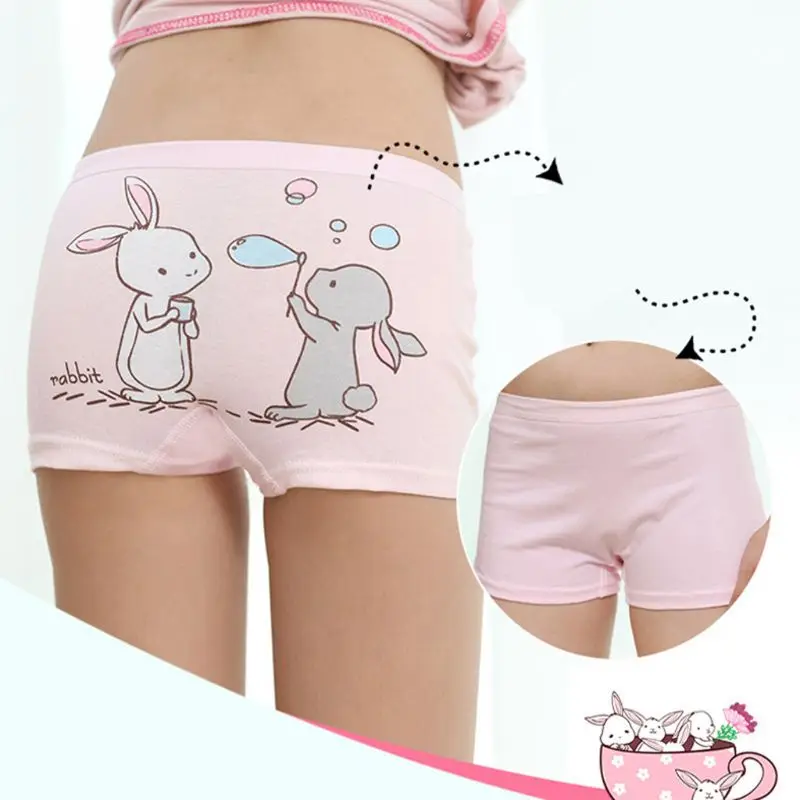 adiasen Little Girls 4-Packs Rabbit Cute Cartoon Design Underwear Hipster Knickers Briefs Boxer Comfortable Cotton