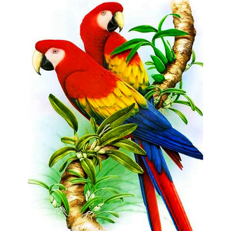 Parrot Full Round Stones Animal Diamond Painting Diamond Embroidery Diamond Cross Stitch Diamond Gift Painting Calligraphy Aliexpress