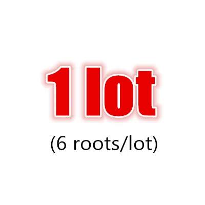1 lot 6 корней/лот сухой корень женьшеня, и чистый натуральный, без пестицидов, высокое качество, питательное дополнение, повышающий устойчивость - Цвет: 1 lot
