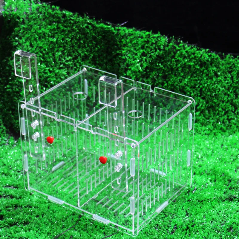 Акриловая коробка для изоляции аквариума разведения вылупления маленькая