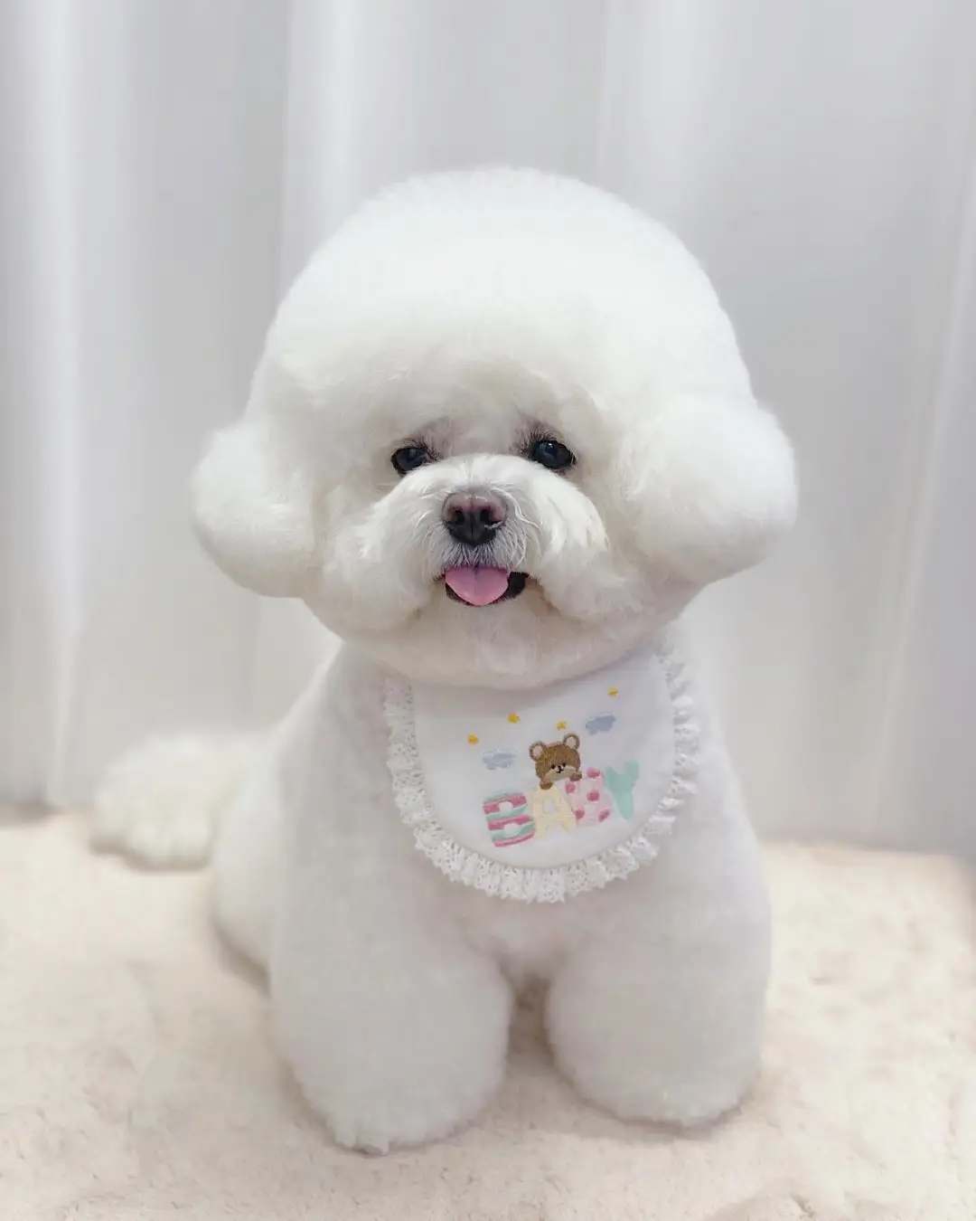 Dog Grooming Baby Bichon Puppies Cute Baby Bear Embroidery Dog Bib