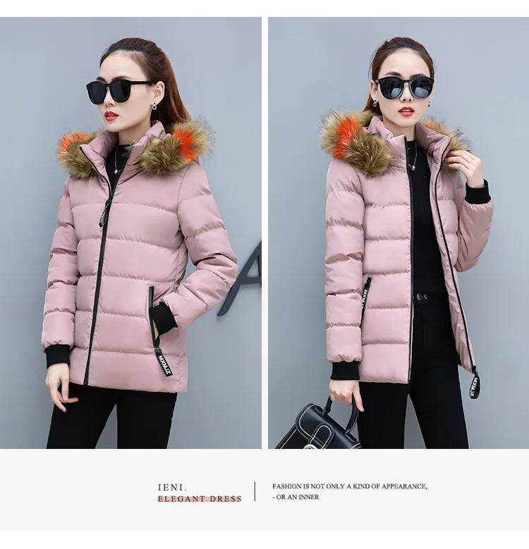 Winter Short Color Large Fur Collar Cotton-padded Clothes Women's Slimming Cotton Coat Winter New Style Small Cotton-Padded