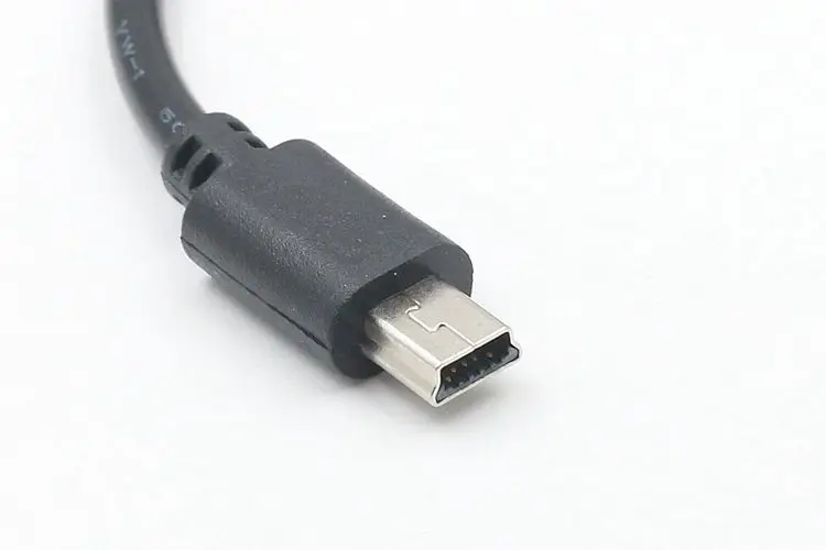 4435832213_1616905079 (1)