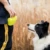 Pet Portable Dog Training Waist Bag Treat Snack Bait Собаки Послушание Ловкость Открытый Корм Сумка Для Хранения Еды Награда Поясные Сумки