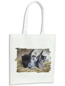 

PACK 4 BAGS KITTENS SO CUTE kitchen purchase kitchen