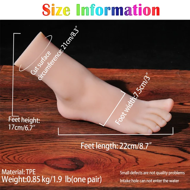 Silicone Bone Foot Model Lifesize Female Reflexology Realistic Display  Tarsel Bone Ankle Elastic Shoe Socks Articulated,2 Toes with Bone