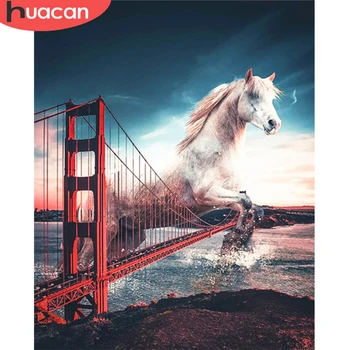 

HUACAN Picture By Numbers Animal Gift Home Decor Painting By Number Horse Hand Painted Wall Art Drawing Acrylic